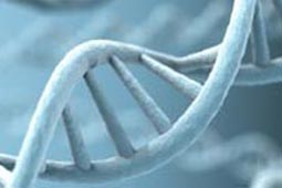 有可靠货源的短信轰炸机在线网页版